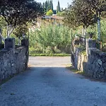 Villa Theodore